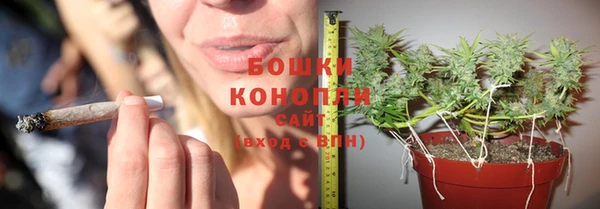соль курить ск Белокуриха